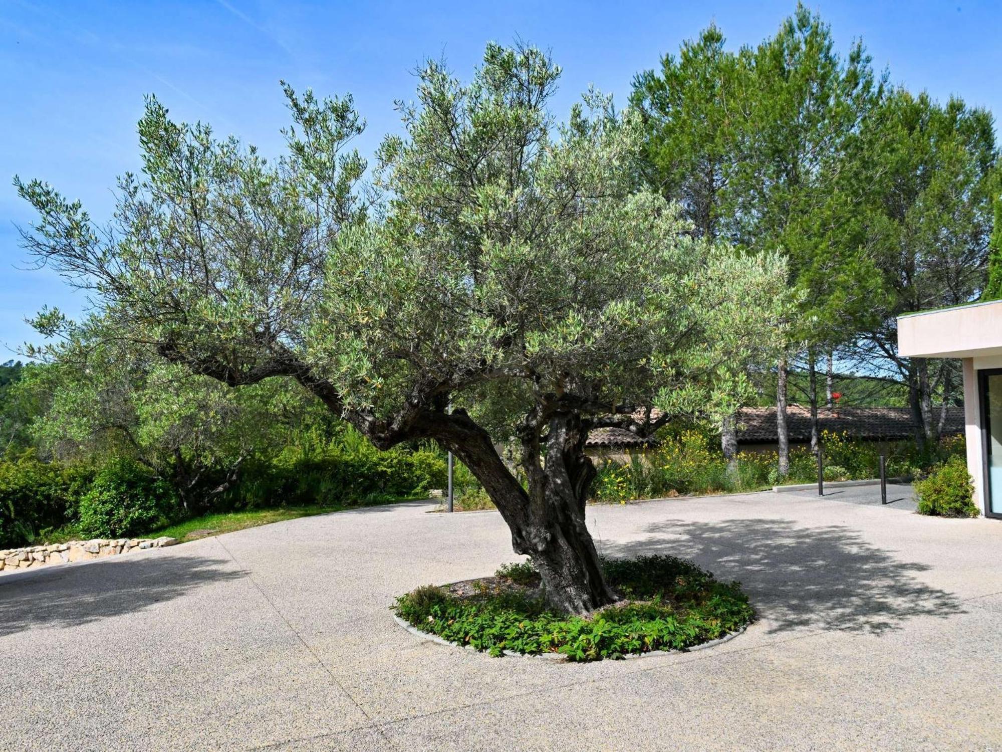 Mercure Brignoles Golf De Barbaroux & Spa Exterior foto
